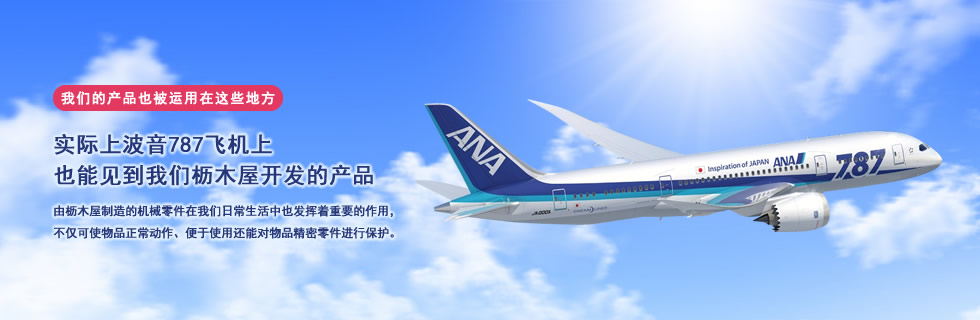 Boeing 787 Dreamliner