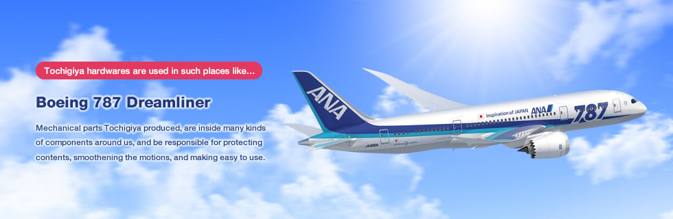 Boeing 787 Dreamliner