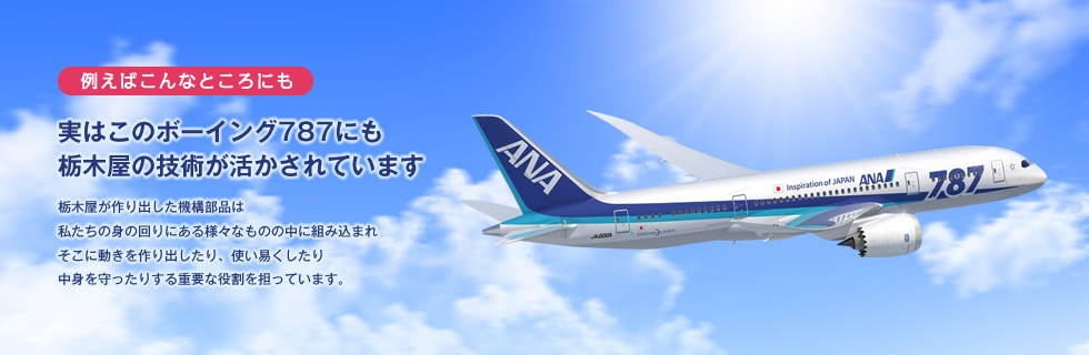 実はこのボーイング787にも栃木屋の技術が活かされています